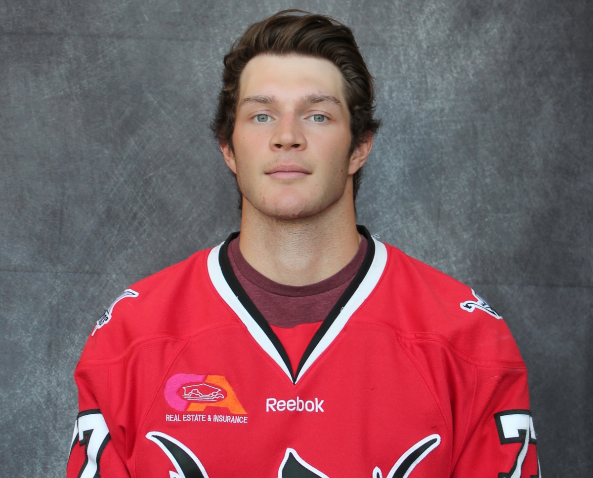 Jack Hamly, Augustana Vikings, Men's Hockey
