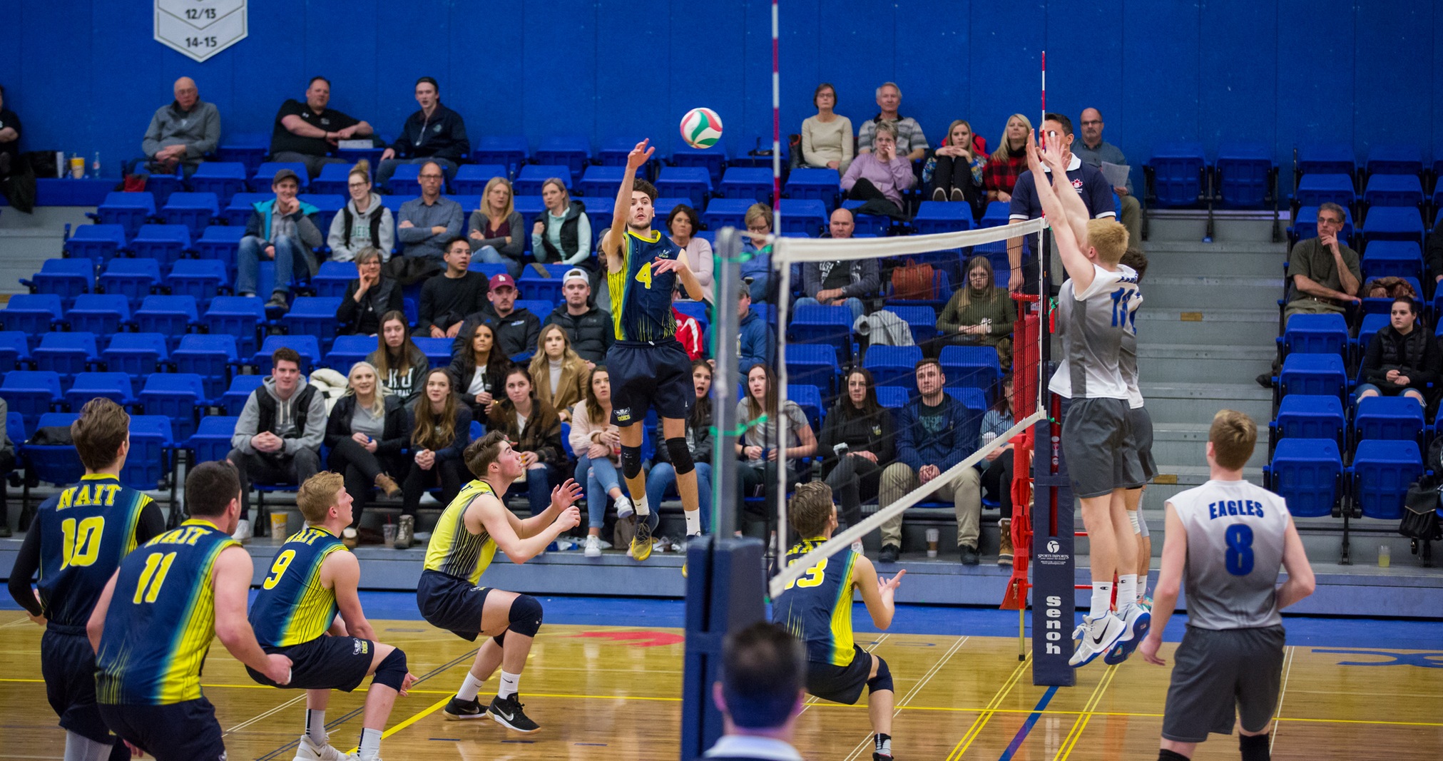 Eagles Fly Higher Than Ooks
