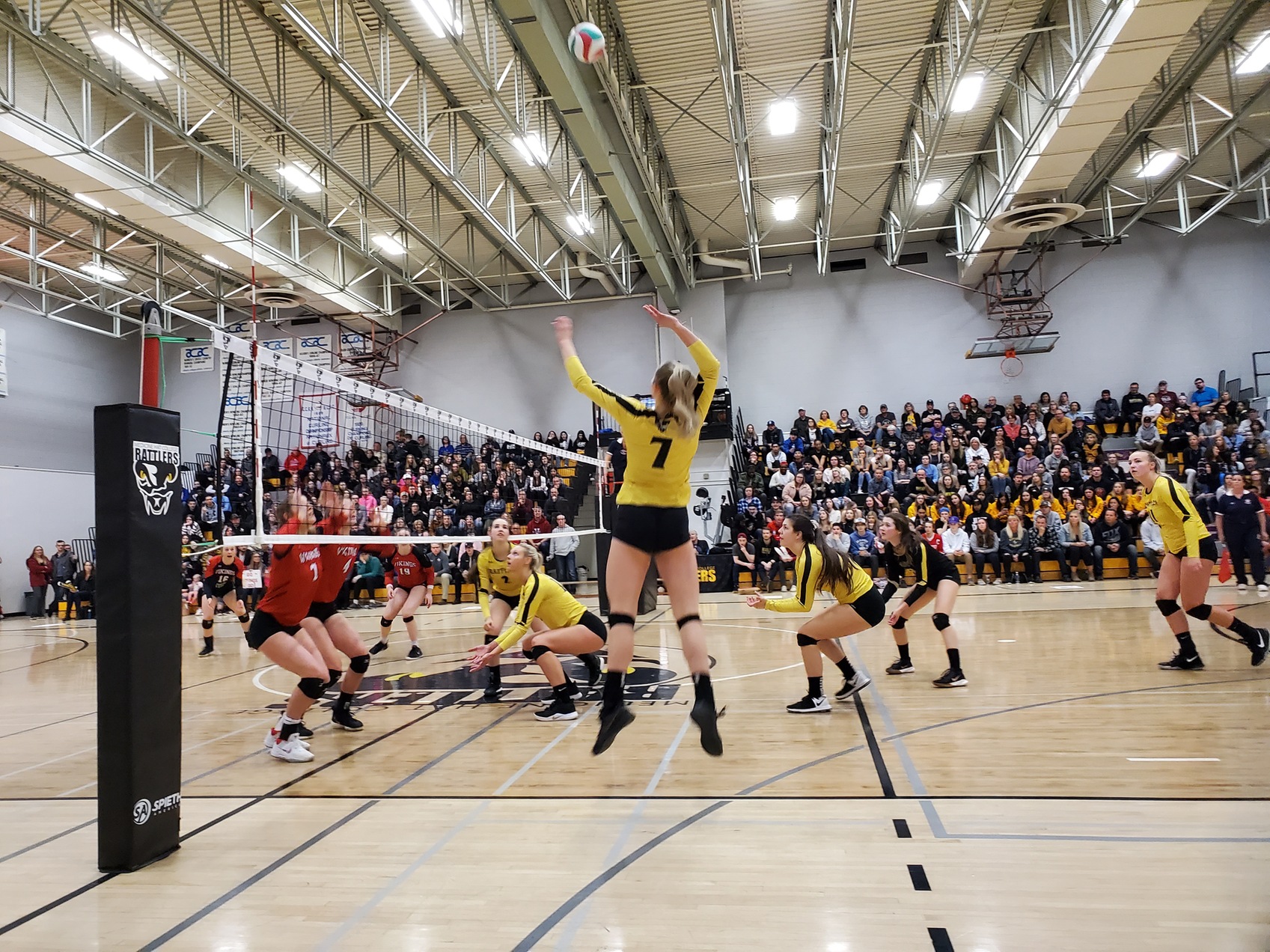 Vikings Sweep Rattlers disappointing Sell out Crowd