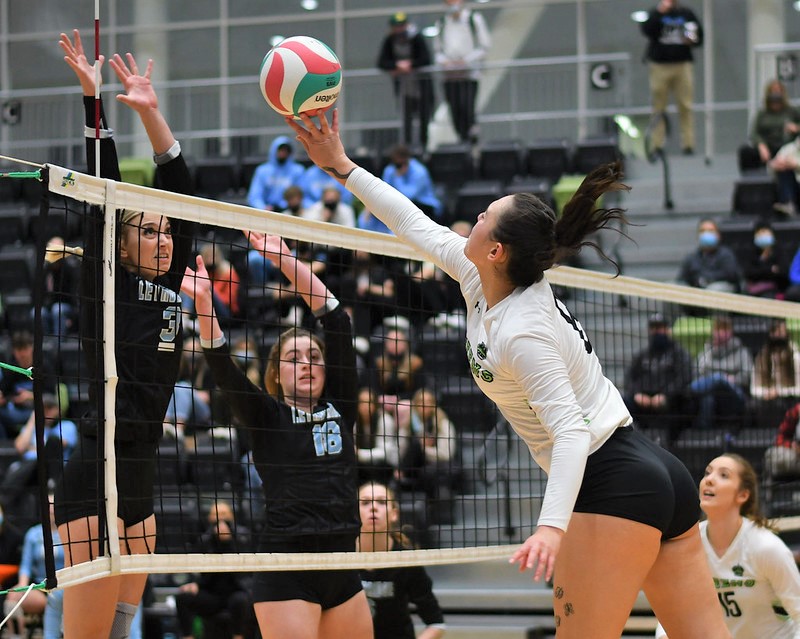 RDP Queens pushed by Kodiaks to four sets, advance to Final Four on home court