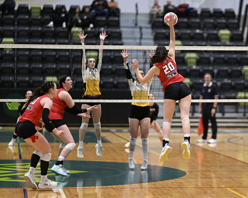 The Vikings upset and sweep the Lions in three straight sets