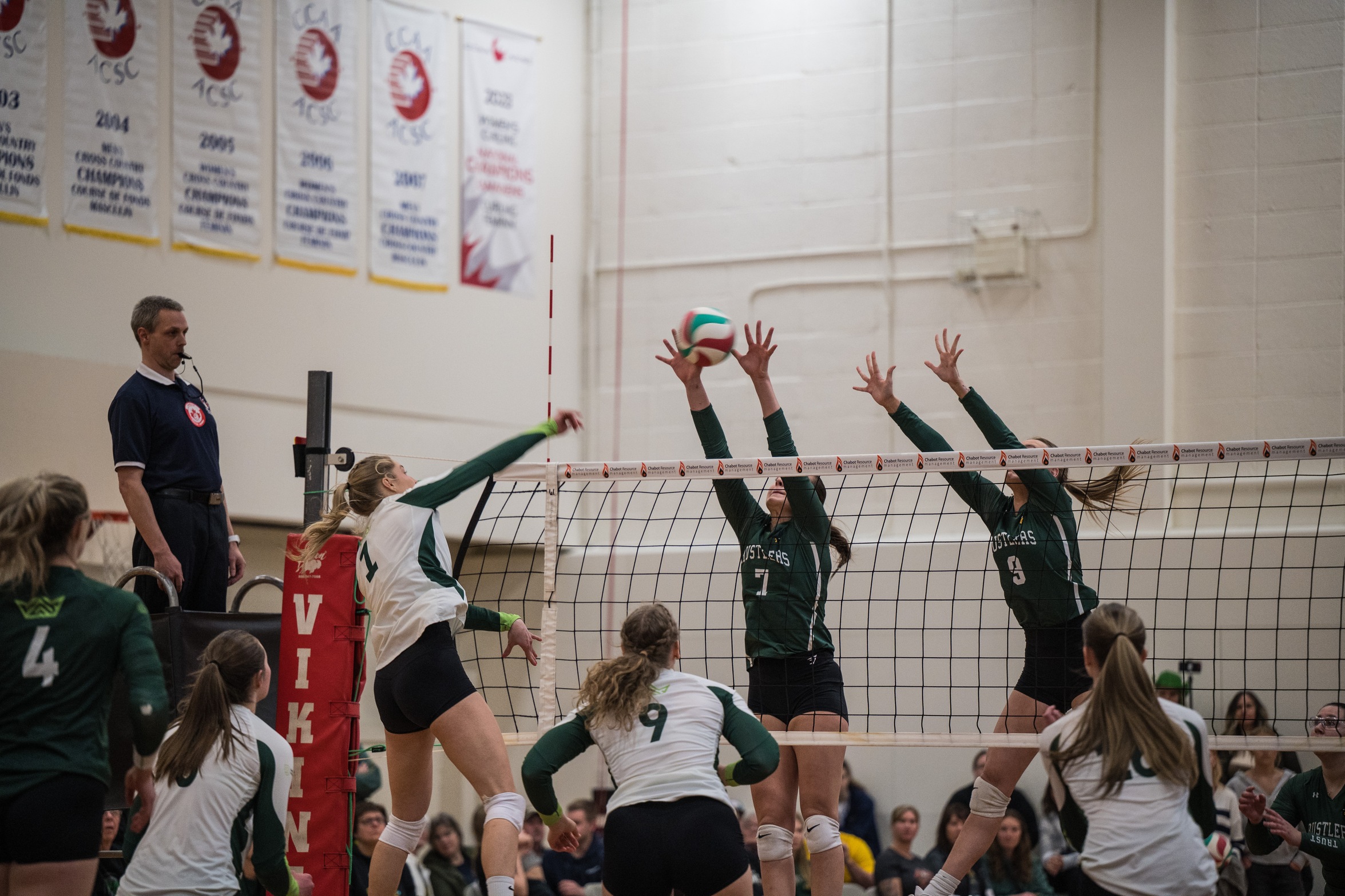 Rustlers check the Queens for their spot in a third consecutive conference final