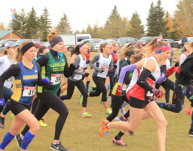 2018 Cross-Country Running Championship Preview