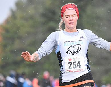 2018 CCAA Cross-Country Running Awards