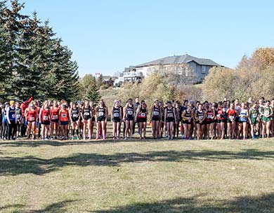 Augustana Vikings host final Running Room Grand Prix leading up to Provincial championships
