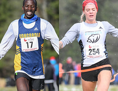 ACAC Cross Country Championships Preview 2019