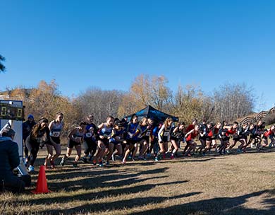 Chesoo and Fitzgerald Claim ACAC Gold