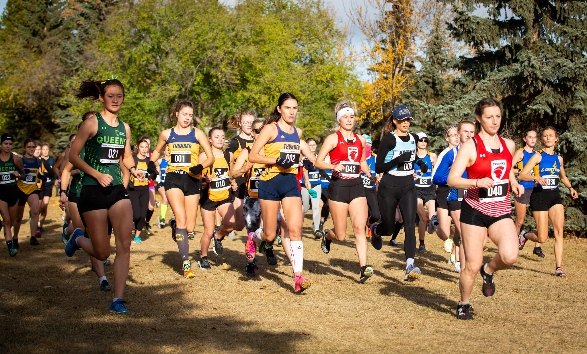 2023 Cross-Country Chronicles